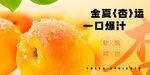杏子海报
