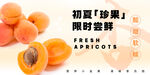 杏子海报