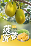 菠萝蜜 