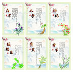 中草药介绍