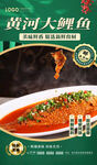 黄河大鲤鱼
