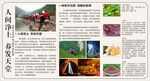 养发天堂