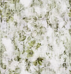 雪覆绿叶景象
