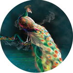 圆中彩孔雀羽色绚丽夺目装饰画