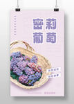 密莉葡萄海报展示