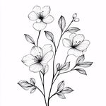 黑白花卉插画 线条优美