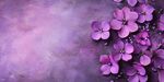 紫色花卉背景图