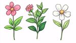 三朵手绘风可爱花卉插画