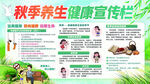 秋季养生健康宣传栏展示