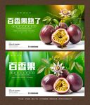 百香果海报