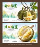 榴莲海报