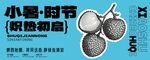 小暑时节荔枝插画