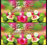 无花果
