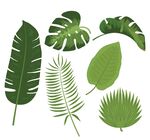 北欧植物