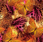 豹纹蝴蝶图案织物纹理