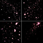 4套花瓣纷飞免扣背景素材