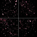 4套花瓣纷飞免扣背景素材