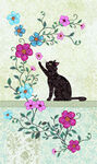 黑猫赏花卉