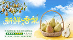 新鲜香梨 