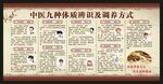 中医九种体质辨识宣传栏
