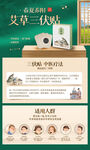 艾草三伏贴产品宣传图