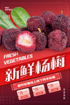 杨梅海报