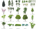 免扣高清景观树莲花植物花卉贴图