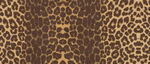 豹纹图案纹理背景