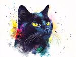 多彩水彩黑猫肖像画