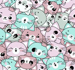 小猫