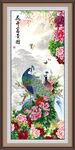 孔雀牡丹图