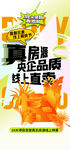 地产活动  