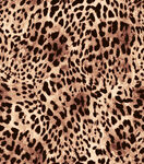 豹纹图案纹理背景图