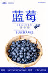 蓝莓