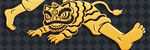 金色猛虎图案