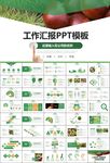 营养美食美味板栗种植宣传PPT