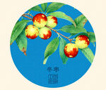 冬枣