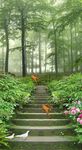 幽静森林小道阶梯风景画玄关背景