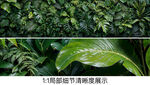 雨林绿叶背景墙壁画