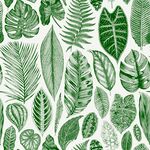 手绘绿植叶片图案集合