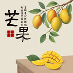 手绘芒果