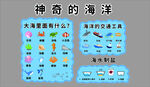 幼儿常识海洋生物科普展示插画