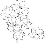 手绘莲花线条图