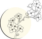 手绘简约樱花枝线条图 红梅