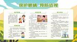 保护眼睛健康科普
