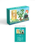 巴戟天包装