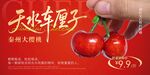 车厘子banner图