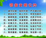 驾校招生海报