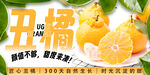 丑橘