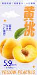 黄桃 